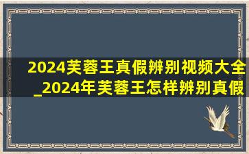 2024芙蓉王真假辨别视频大全_2024年芙蓉王怎样辨别真假