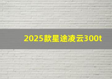 2025款星途凌云300t