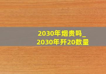 2030年烟贵吗_2030年歼20数量