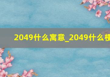 2049什么寓意_2049什么梗