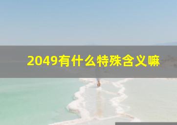 2049有什么特殊含义嘛