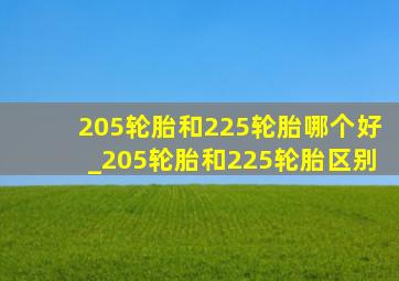 205轮胎和225轮胎哪个好_205轮胎和225轮胎区别