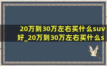 20万到30万左右买什么suv好_20万到30万左右买什么suv