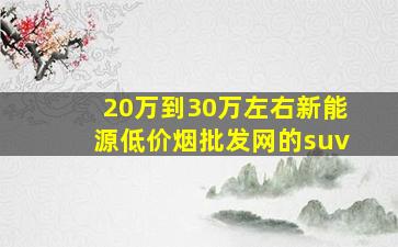 20万到30万左右新能源(低价烟批发网)的suv