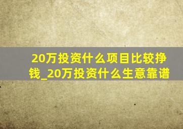 20万投资什么项目比较挣钱_20万投资什么生意靠谱