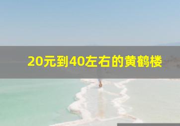 20元到40左右的黄鹤楼