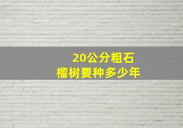 20公分粗石榴树要种多少年