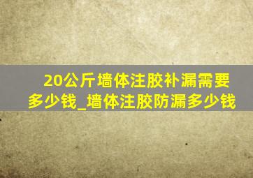 20公斤墙体注胶补漏需要多少钱_墙体注胶防漏多少钱