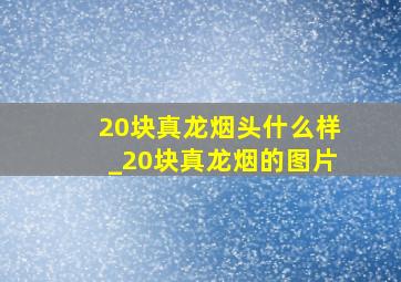 20块真龙烟头什么样_20块真龙烟的图片