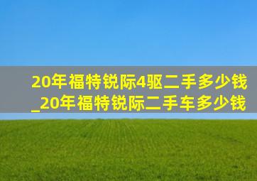 20年福特锐际4驱二手多少钱_20年福特锐际二手车多少钱