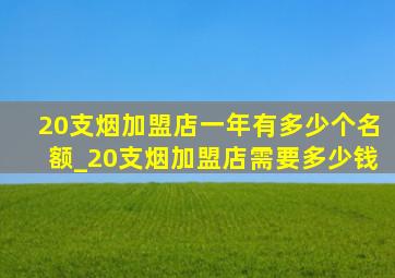 20支烟加盟店一年有多少个名额_20支烟加盟店需要多少钱