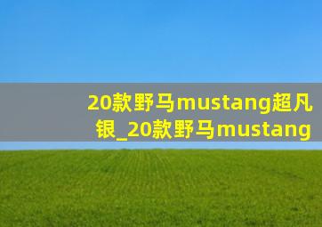 20款野马mustang超凡银_20款野马mustang