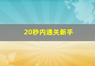 20秒内通关新手