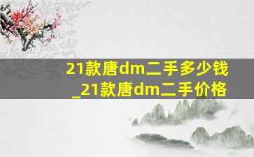 21款唐dm二手多少钱_21款唐dm二手价格