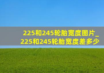 225和245轮胎宽度图片_225和245轮胎宽度差多少