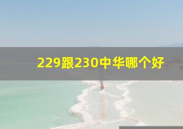 229跟230中华哪个好