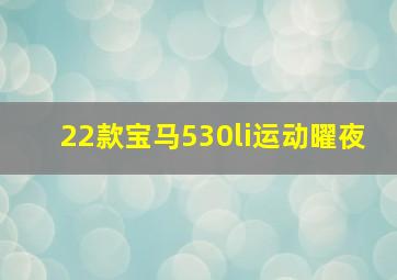 22款宝马530li运动曜夜