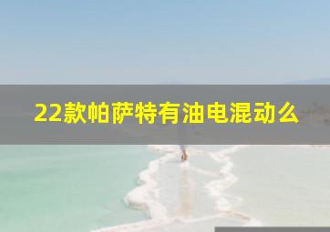 22款帕萨特有油电混动么