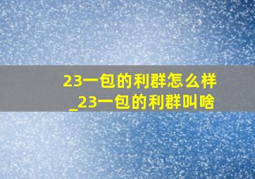 23一包的利群怎么样_23一包的利群叫啥