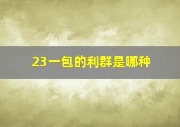 23一包的利群是哪种