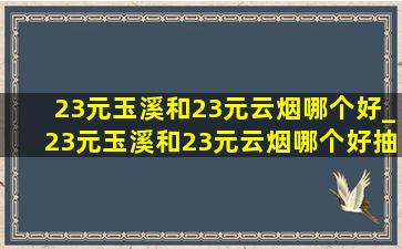 23元玉溪和23元云烟哪个好_23元玉溪和23元云烟哪个好抽