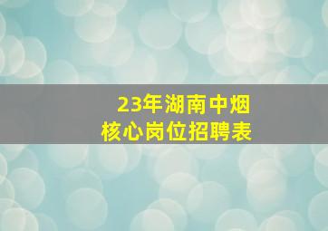 23年湖南中烟核心岗位招聘表