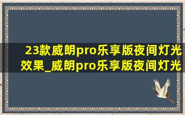 23款威朗pro乐享版夜间灯光效果_威朗pro乐享版夜间灯光效果