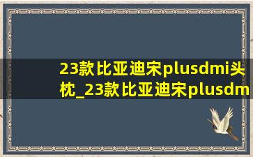 23款比亚迪宋plusdmi头枕_23款比亚迪宋plusdmi头枕腰靠