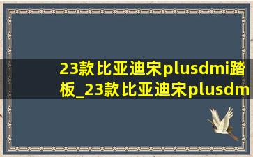 23款比亚迪宋plusdmi踏板_23款比亚迪宋plusdmi会降价吗