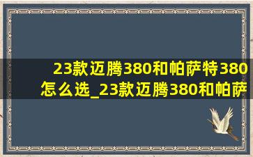 23款迈腾380和帕萨特380怎么选_23款迈腾380和帕萨特380