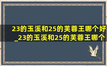 23的玉溪和25的芙蓉王哪个好_23的玉溪和25的芙蓉王哪个档次高