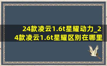 24款凌云1.6t星耀动力_24款凌云1.6t星耀区别在哪里