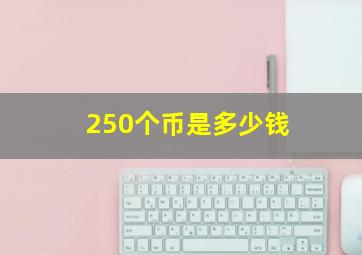 250个币是多少钱