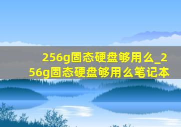 256g固态硬盘够用么_256g固态硬盘够用么笔记本