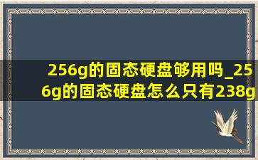 256g的固态硬盘够用吗_256g的固态硬盘怎么只有238g