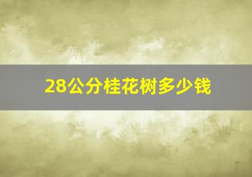 28公分桂花树多少钱