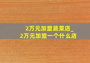 2万元加盟蔬菜店_2万元加盟一个什么店