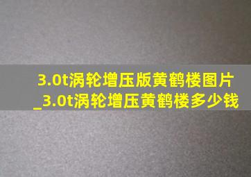 3.0t涡轮增压版黄鹤楼图片_3.0t涡轮增压黄鹤楼多少钱