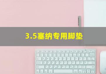 3.5塞纳专用脚垫