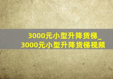 3000元小型升降货梯_3000元小型升降货梯视频