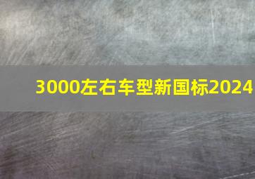 3000左右车型新国标2024