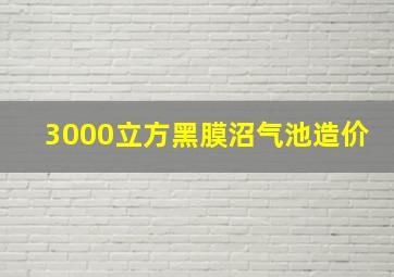 3000立方黑膜沼气池造价