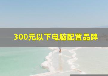 300元以下电脑配置品牌