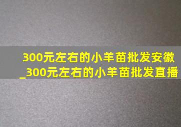 300元左右的小羊苗批发安徽_300元左右的小羊苗批发直播