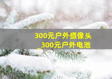 300元户外摄像头_300元户外电池