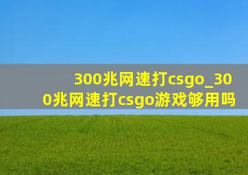 300兆网速打csgo_300兆网速打csgo游戏够用吗