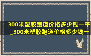 300米塑胶跑道价格多少钱一平_300米塑胶跑道价格多少钱一平方