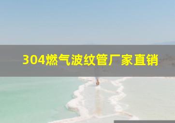 304燃气波纹管厂家直销