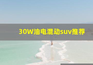 30W油电混动suv推荐