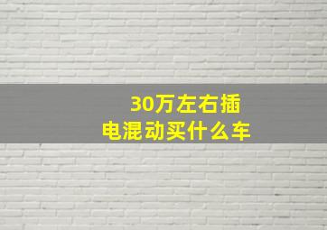 30万左右插电混动买什么车